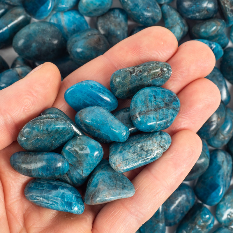 Blue Apatite Tumbled Crystal Tumbled Crystal Magic 1