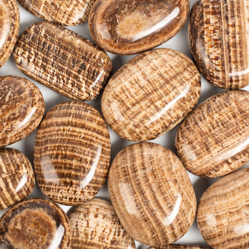 Brown Aragonite Palm Stone Crystal Palm Stones Crystal Magic