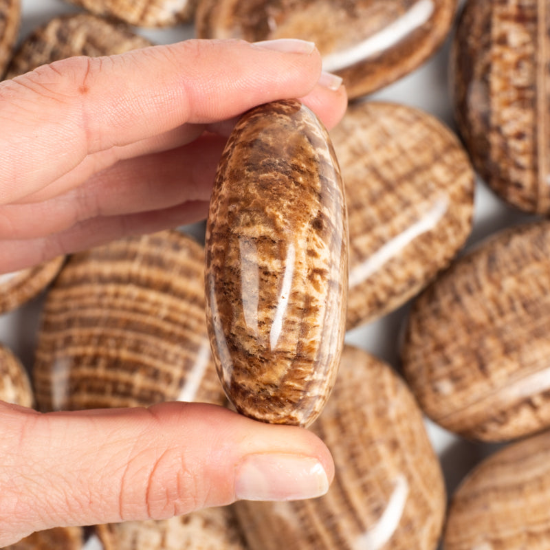 Brown Aragonite Palm Stone Crystal Palm Stones Crystal Magic