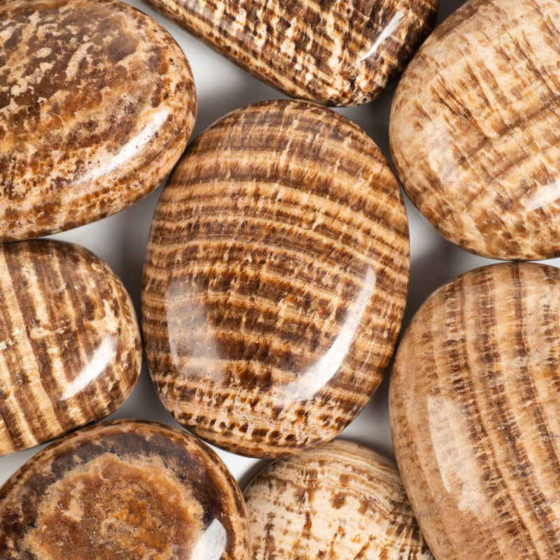 Brown Aragonite Palm Stone Crystal Palm Stones Crystal Magic