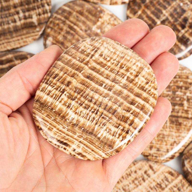 Brown Aragonite Palm Stone Crystal Palm Stones Crystal Magic Flat