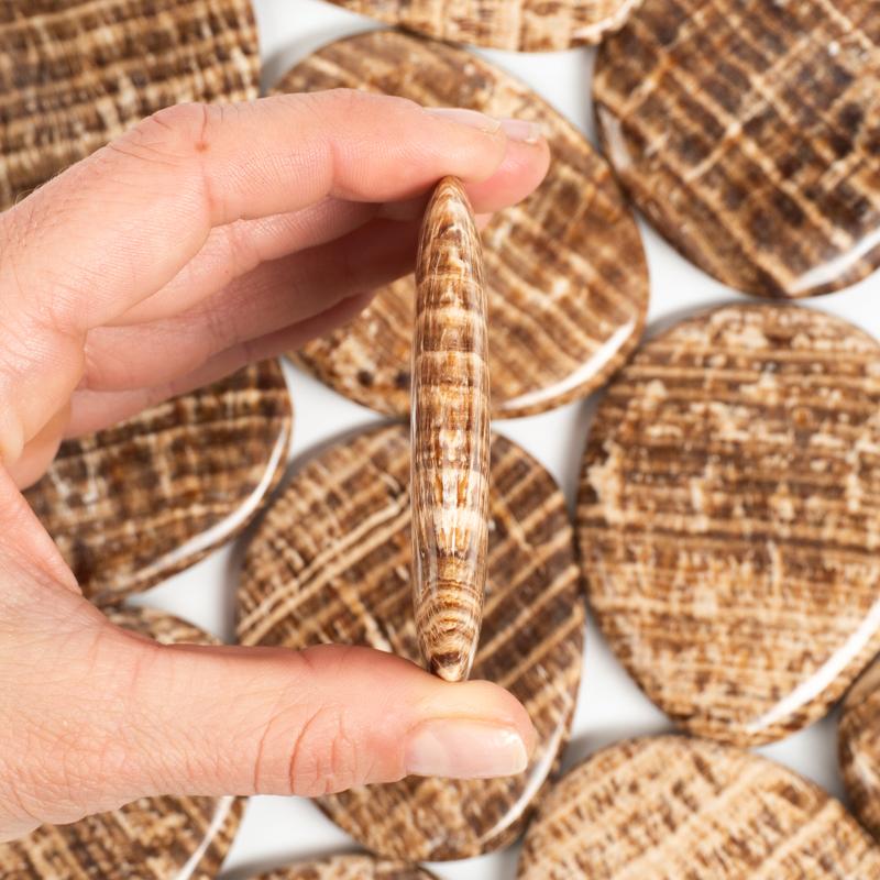 Brown Aragonite Palm Stone Crystal Palm Stones Crystal Magic