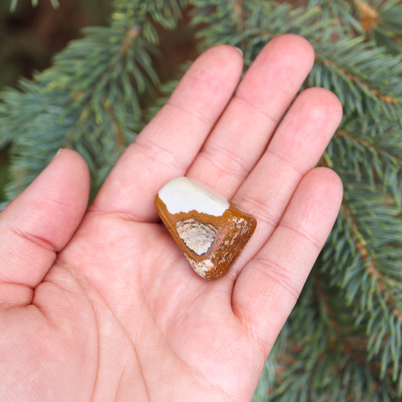 Picture Jasper Tumbled Crystal Tumbled Crystal Magic