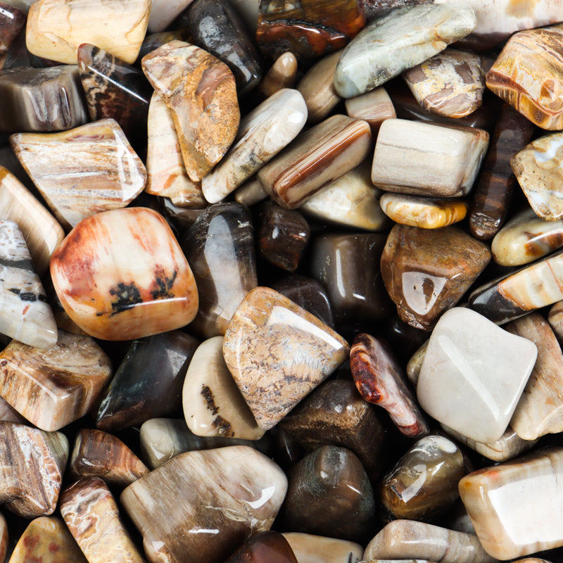 Petrified Wood Tumbled Crystal Tumbled Crystal Magic