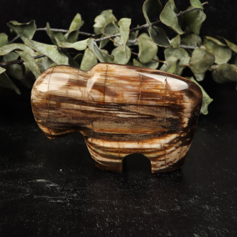 Petrified Wood Buffalo Crystal Carvings Crystal Magic