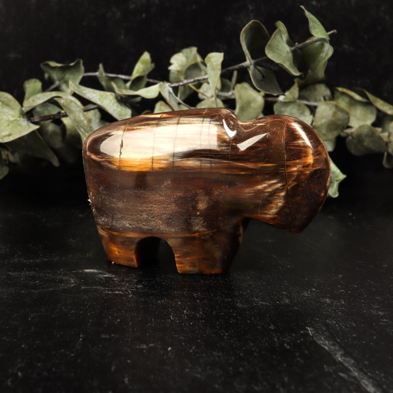 Petrified Wood Buffalo Crystal Carvings Crystal Magic