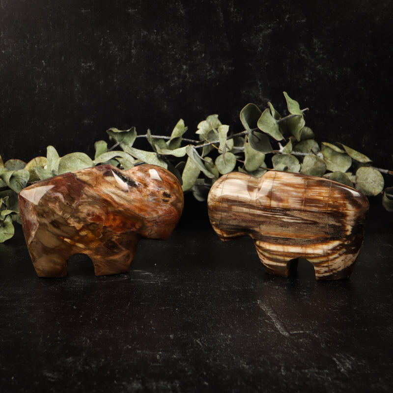 Petrified Wood Buffalo Crystal Carvings Crystal Magic
