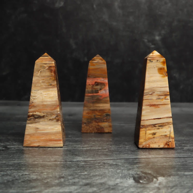 Petrified Wood Obelisk