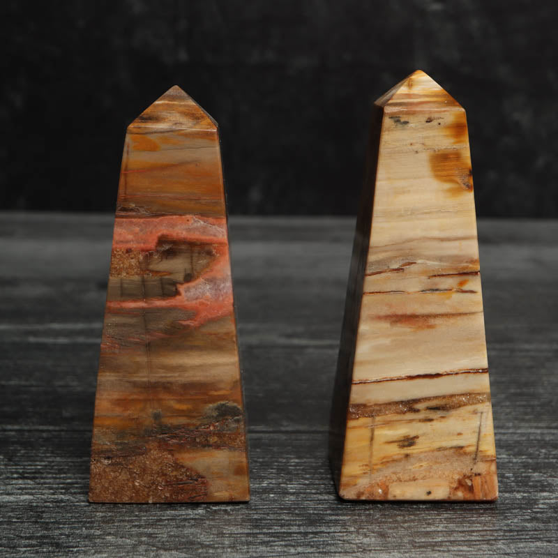 Petrified Wood Obelisk