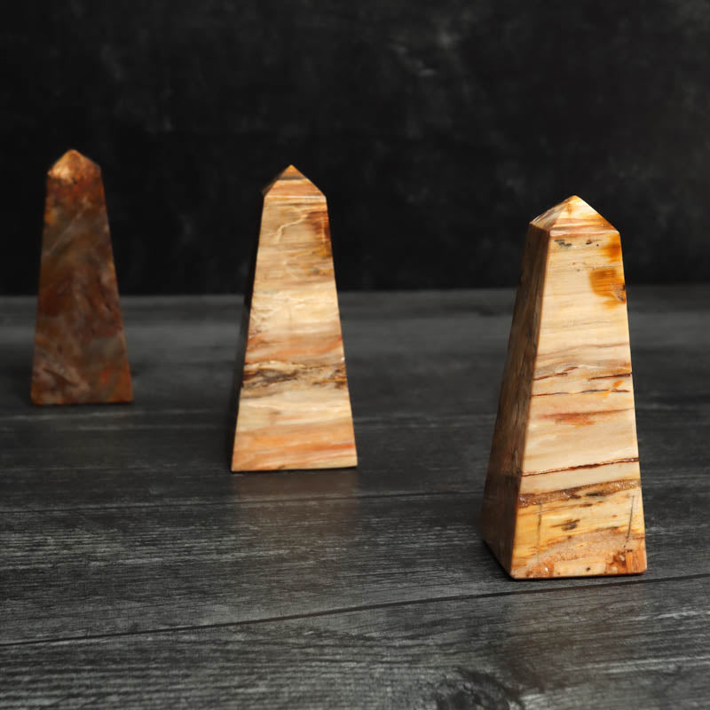 Petrified Wood Obelisk