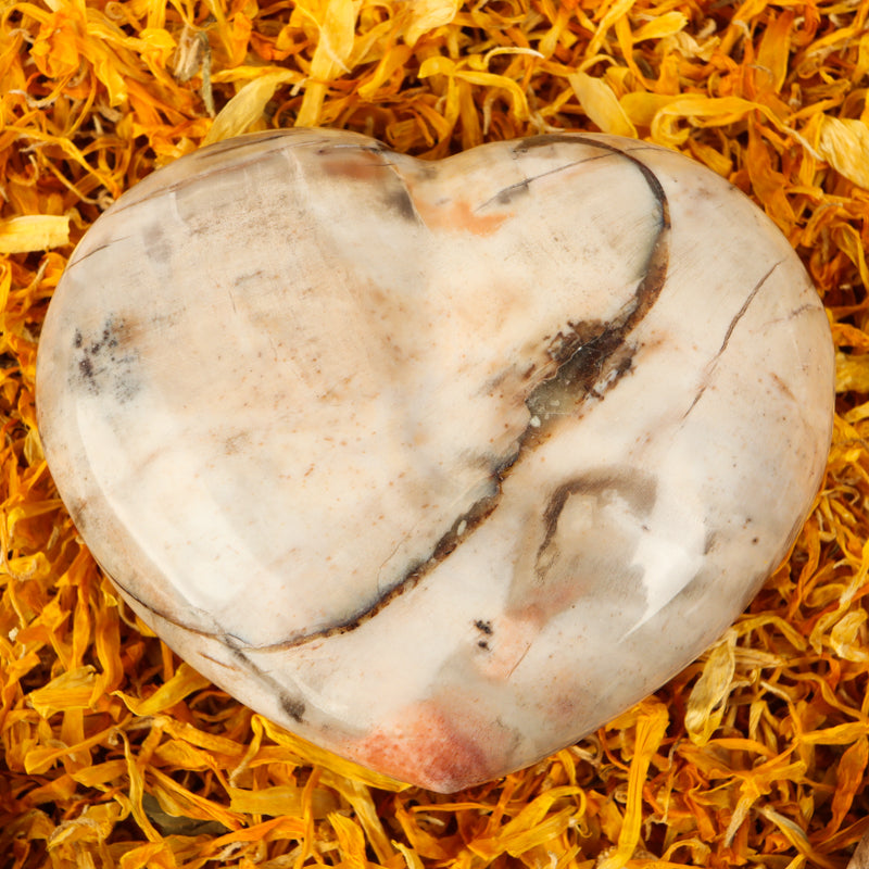 Petrified Wood Heart Crystal Heart Crystal Magic