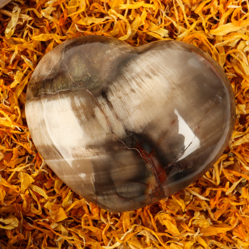 Petrified Wood Heart Crystal Heart Crystal Magic