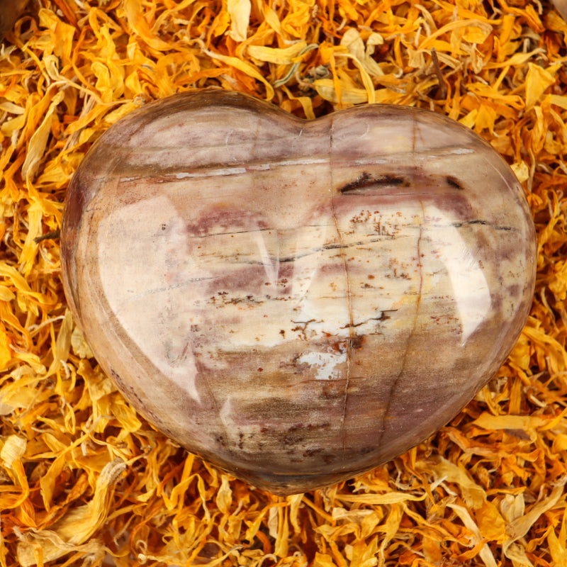 Petrified Wood Heart Crystal Heart Crystal Magic