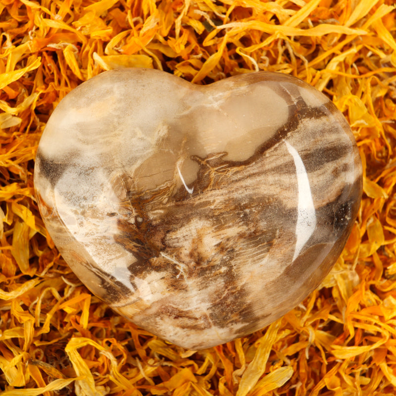 Petrified Wood Heart Crystal Heart Crystal Magic