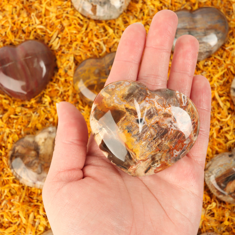 Petrified Wood Heart Crystal Heart Crystal Magic Medium