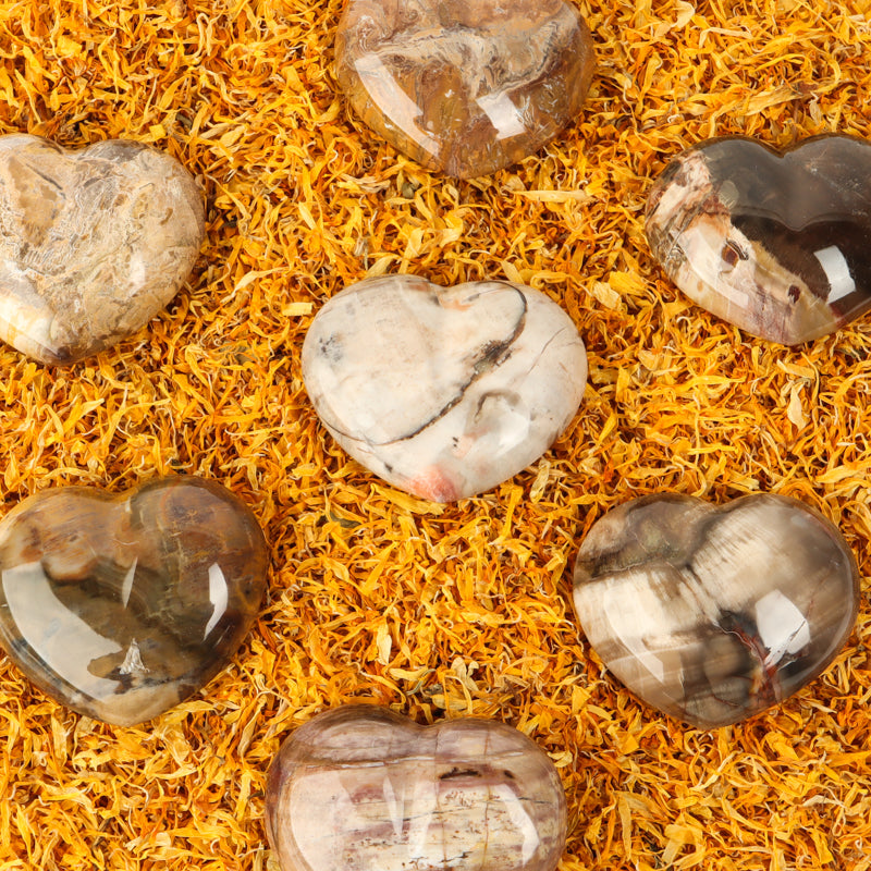 Petrified Wood Heart Crystal Heart Crystal Magic