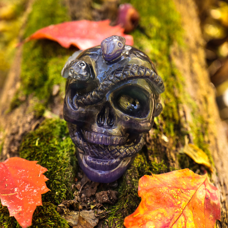 Fluorite Skull with Serpent Crystal Skull Aquarius