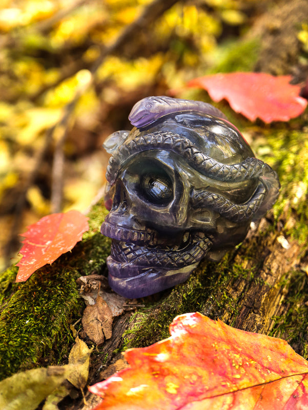 Fluorite Skull with Serpent Crystal Skull Aquarius