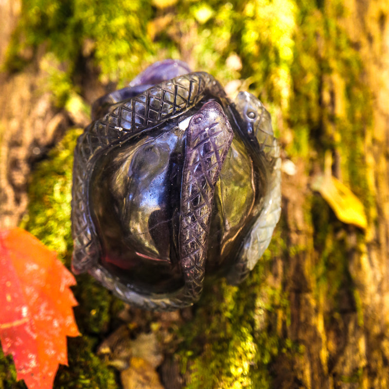 Fluorite Skull with Serpent Crystal Skull Aquarius