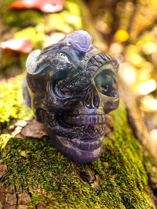 Fluorite Skull with Serpent Crystal Skull Aquarius