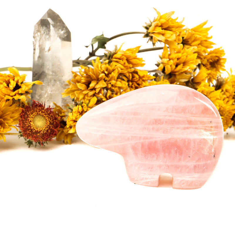 Rose Quartz Carved Buffalo Crystal Carvings Crystal Magic