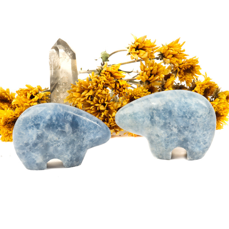 Blue Calcite Carved Bear Crystal Carvings Crystal Magic