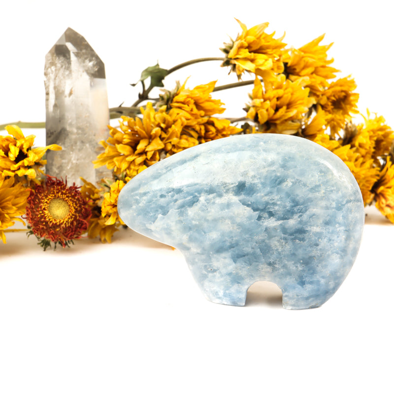 Blue Calcite Carved Bear Crystal Carvings Crystal Magic