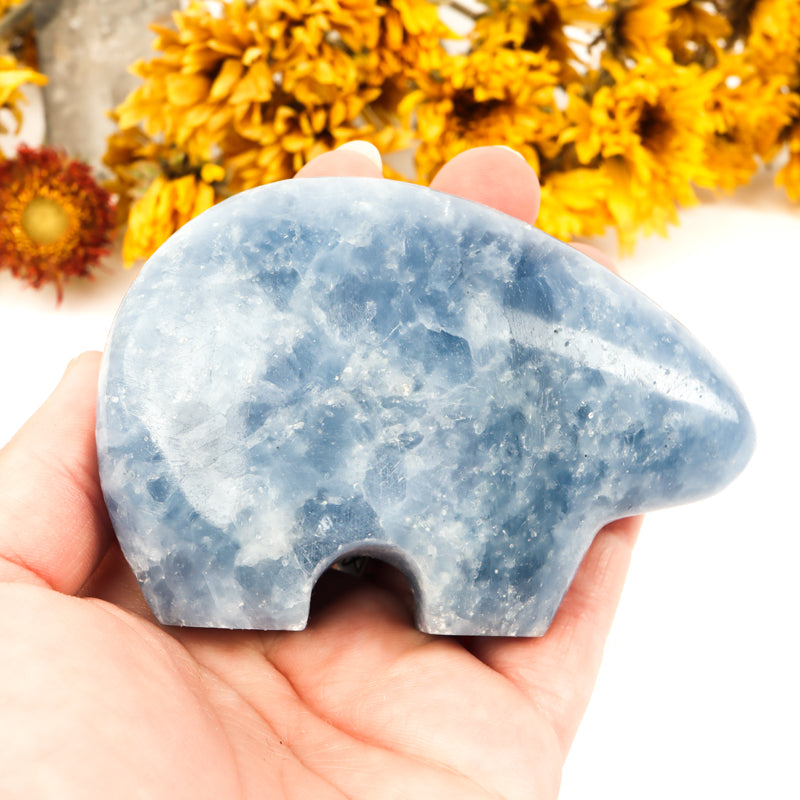 Blue Calcite Carved Bear Crystal Carvings Crystal Magic