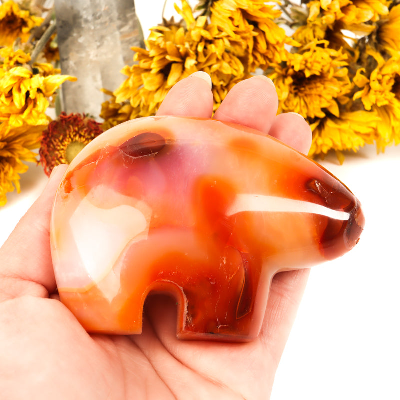 Carnelian Carved Bear Crystal Carvings Crystal Magic