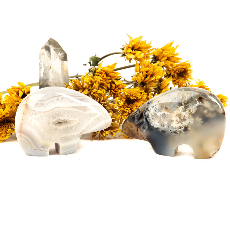 Gray Banded Agate Carved Bear Crystal Carvings Crystal Magic online