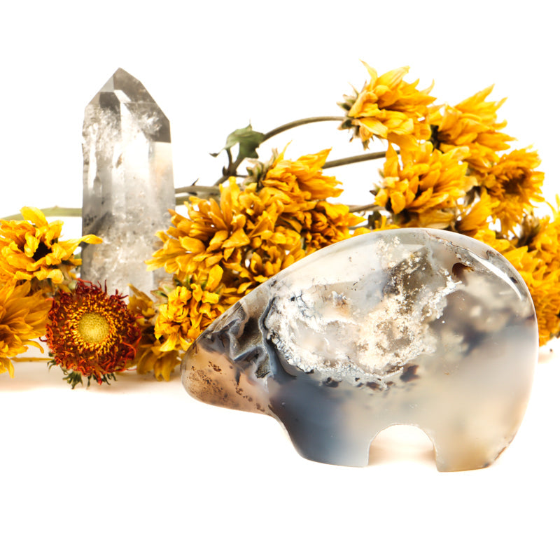 Gray Banded Agate Carved Bear Crystal Carvings Crystal Magic online