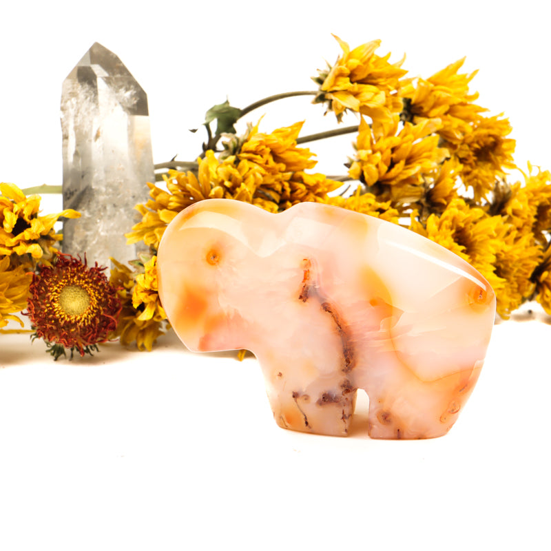 Carnelian Carved Buffalo Crystal Carvings Crystal Magic