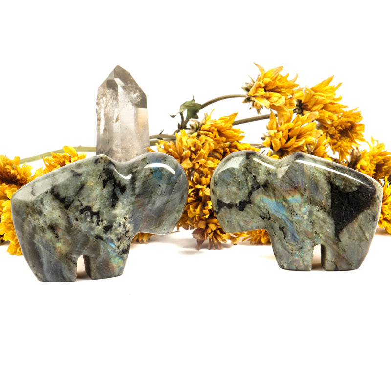 Labradorite Carved Buffalo Crystal Carvings Crystal Magic
