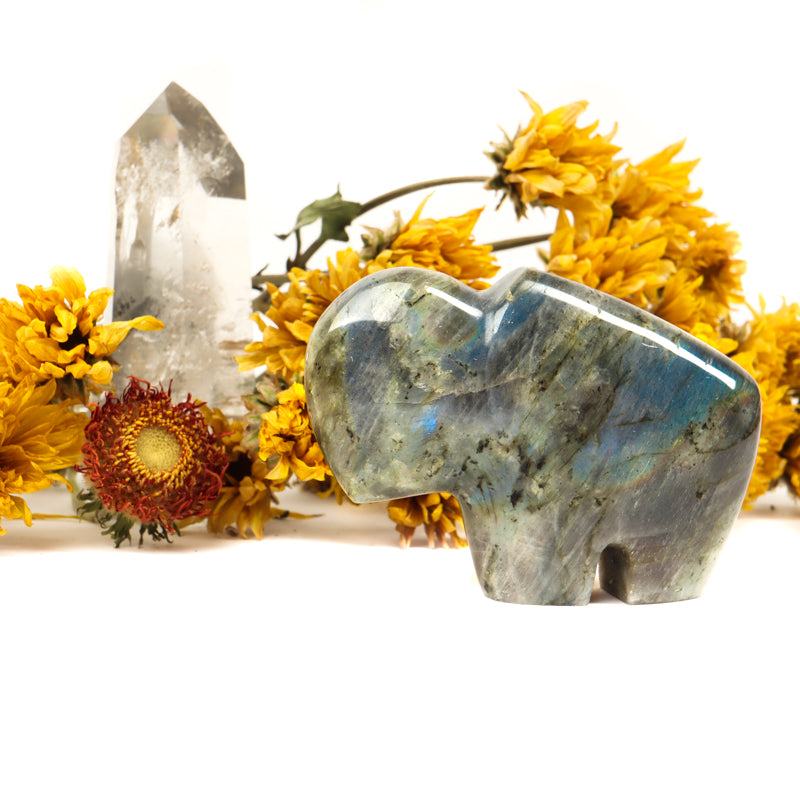 Labradorite Carved Buffalo Crystal Carvings Crystal Magic