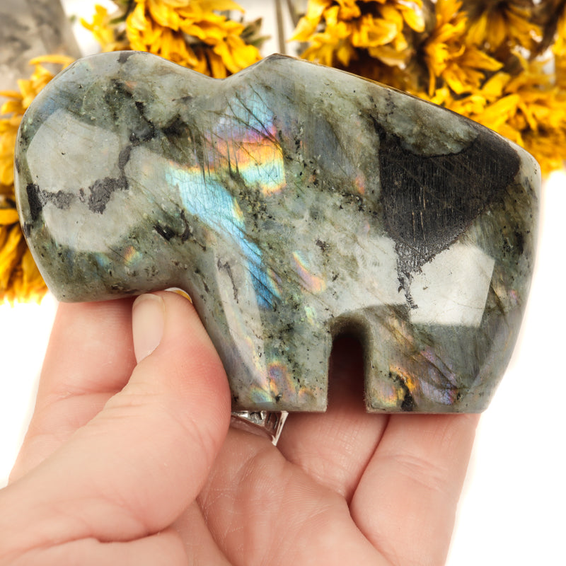 Labradorite Carved Buffalo Crystal Carvings Crystal Magic