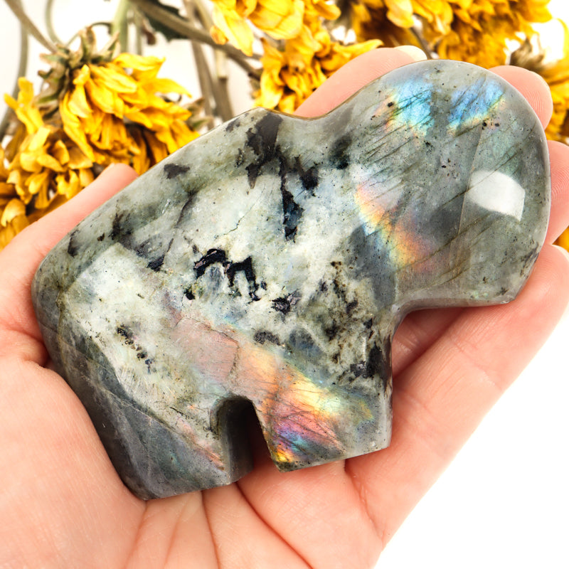 Labradorite Carved Buffalo Crystal Carvings Crystal Magic