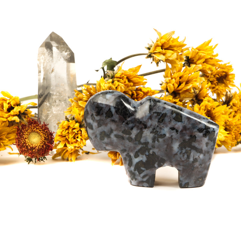 Mystic Merlinite Buffalo Crystal Carvings Crystal Magic