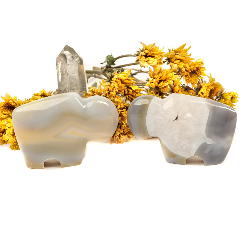 Gray Banded Agate Carved Buffalo Crystal Carvings Crystal Magic online