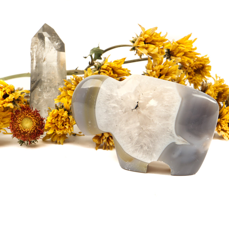 Gray Banded Agate Carved Buffalo Crystal Carvings Crystal Magic online