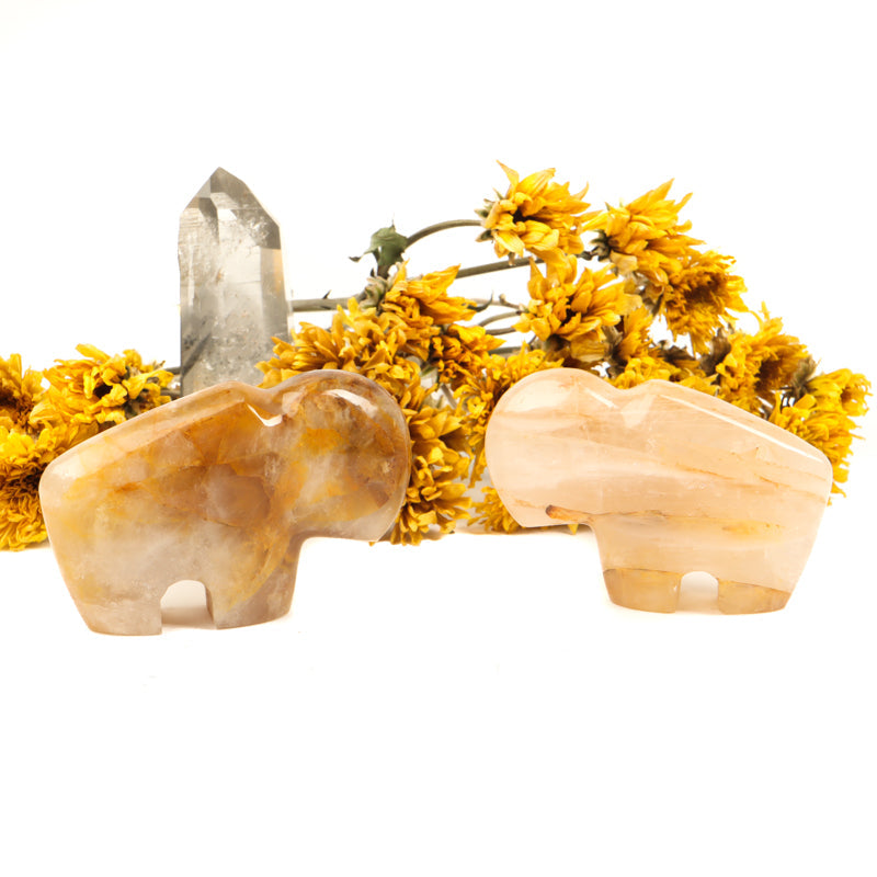 Golden Healer Quartz Carved Buffalo Crystal Carvings Crystal Magic