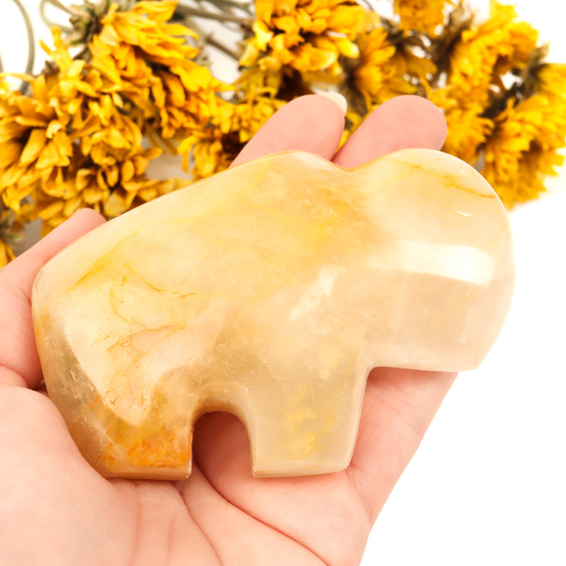 Golden Healer Quartz Carved Buffalo Crystal Carvings Crystal Magic