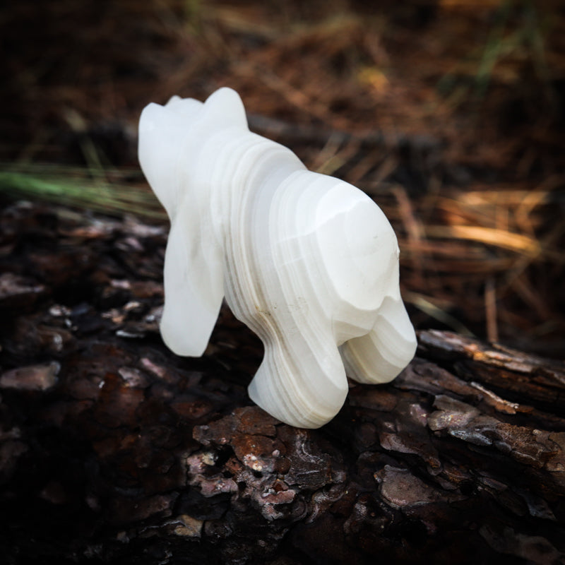 White Onyx Carved Bear Crystal Carvings Crystal Magic