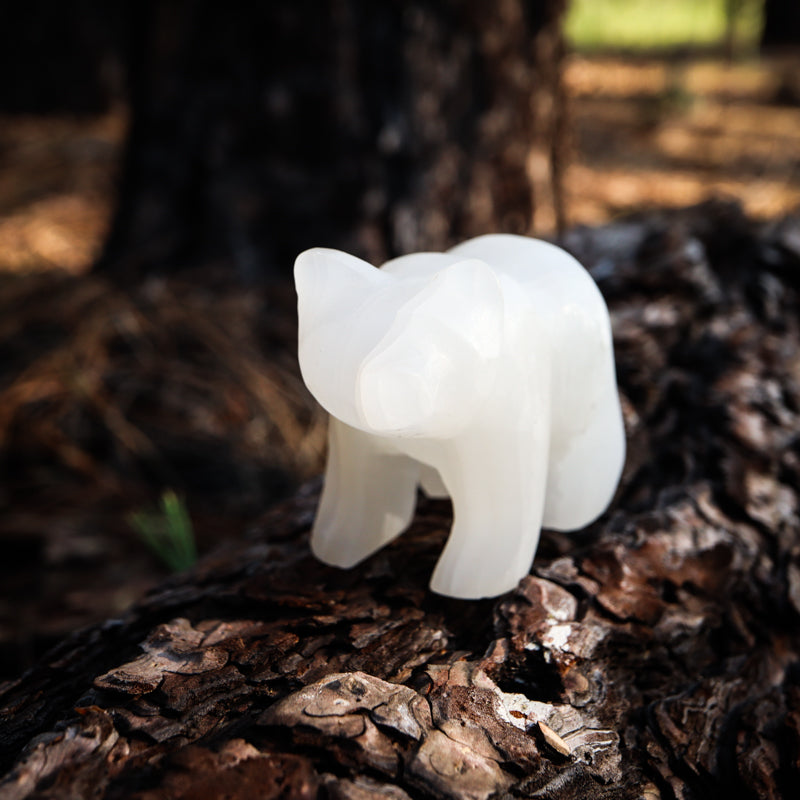 White Onyx Carved Bear Crystal Carvings Crystal Magic