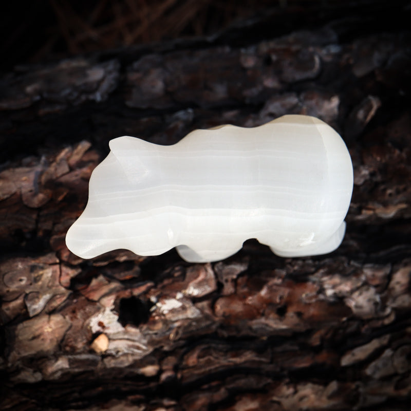 White Onyx Carved Bear Crystal Carvings Crystal Magic