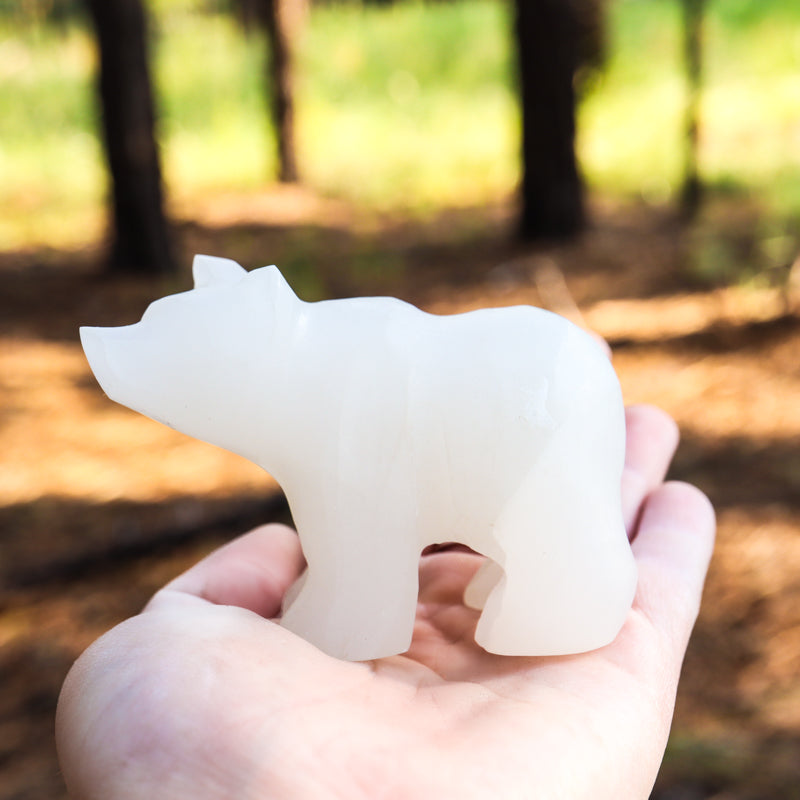 White Onyx Carved Bear Crystal Carvings Crystal Magic Clear Medium