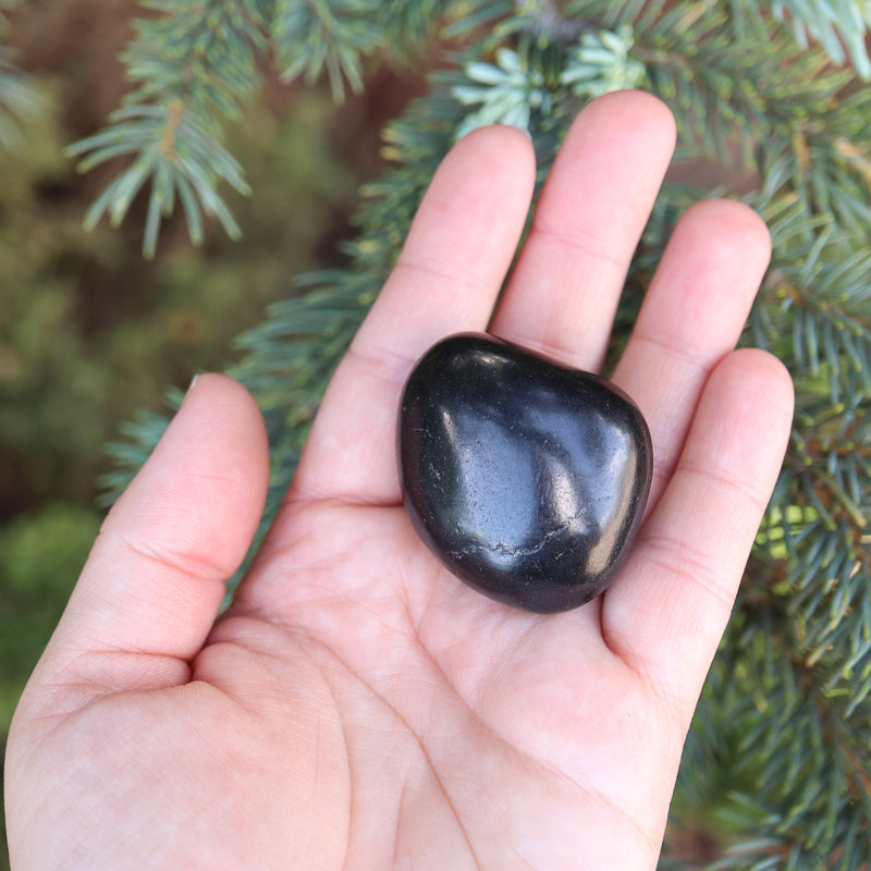 Shungite Tumbled Crystal Tumbled Crystal Magic