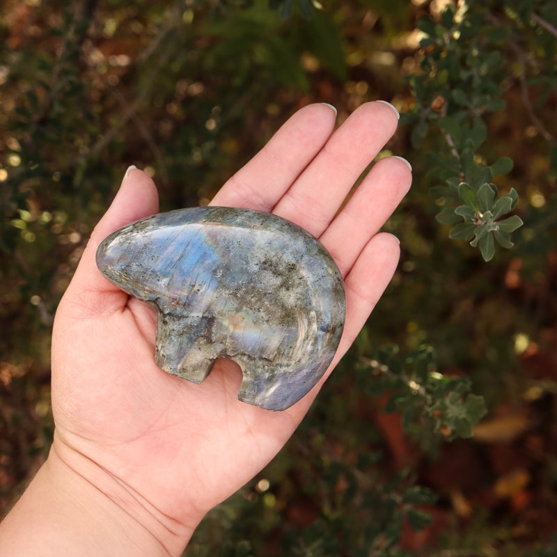 Sagittarius Sign Bundle