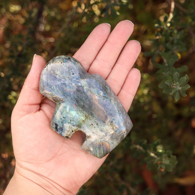 Sagittarius Sign Bundle