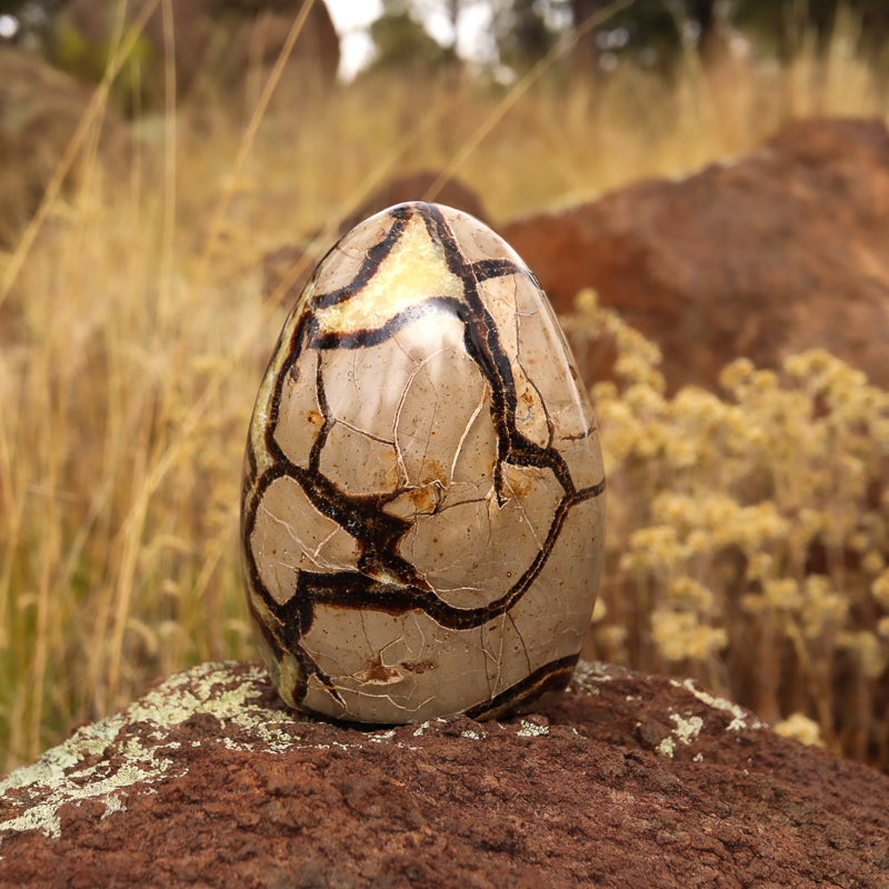 Septarian (Free Form)