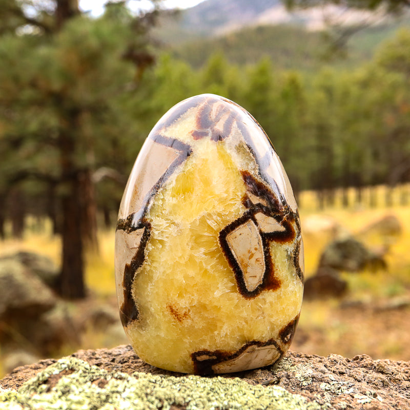 Septarian (Free Form)